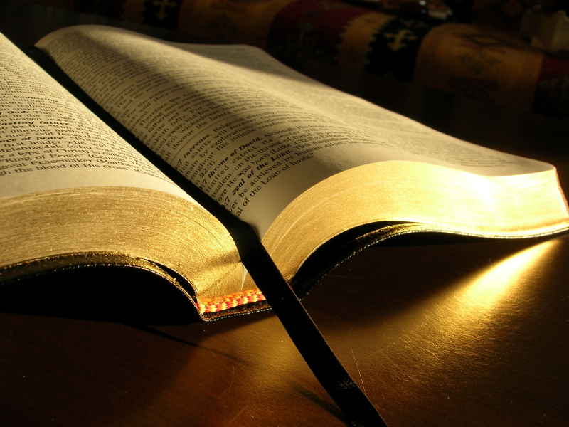 Accuracy & Authority of God’s Word | FREEdom from MEdom Project